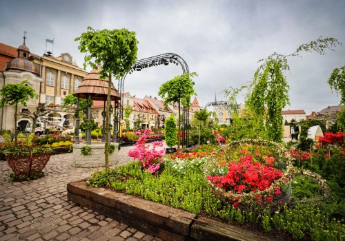 Ogrody, światło, muzyka i słowo. Przedstawiamy program Daisy Days 2026!
