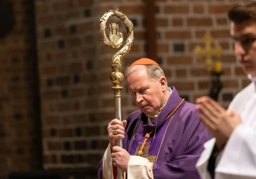 Kard. Eijk: raport synodalny dotyczący relacji jednopłciowych musi zostać stanowczo odrzucony