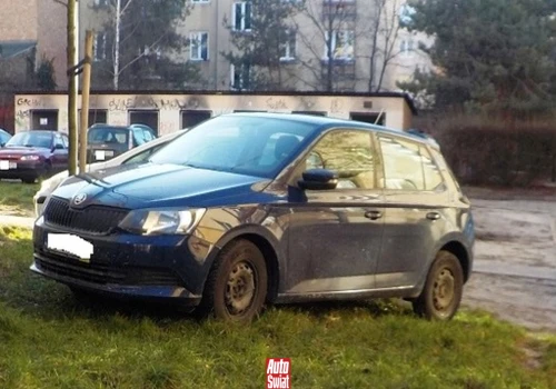 Można parkować na trawniku czy za to jest mandat?