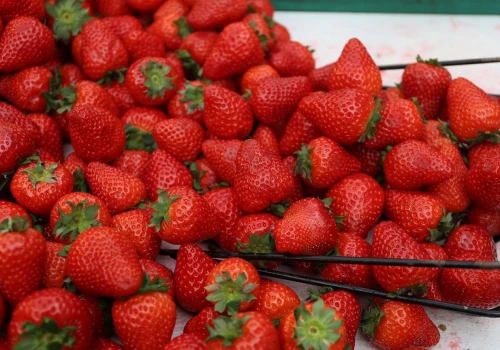 Jak rozpoznać polskie truskawki? Te 4 cechy zdradzają owoce z importu