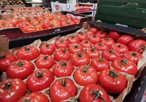 Pomidory z importu drożeją. Polska płaci już prawie 10 zł/kg