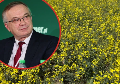 Czy warto jeszcze nawozić rzepak azotem? Ocenia prof. Szczepaniak