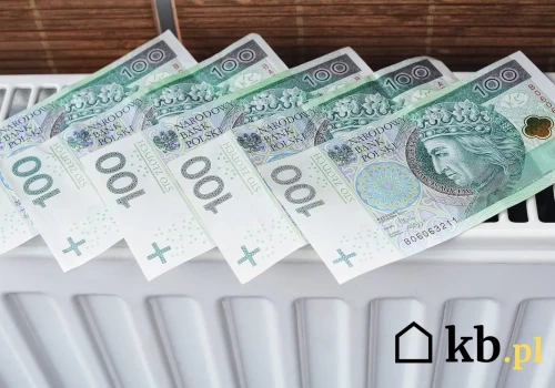 Możesz otrzymać nawet 3500 zł dopłaty do ogrzewania. Nabór wniosków startuje 1 lipca