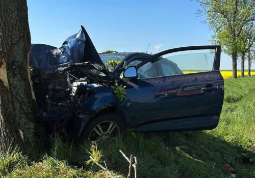 Kobieta uderzyła w drzewo