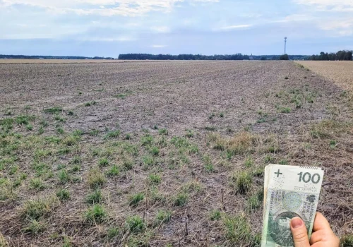 Rolnik miał polisę, po gradzie stracił połowę pomocy z ARiMR. Jest postulat zmiany przepisów