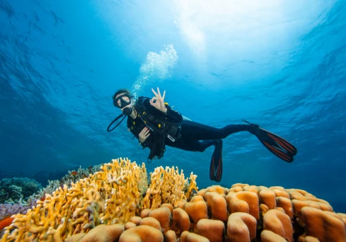 8 dni w Egipcie z all inclusive 🌤️⛱️🍸 Odpocznij w Marsa Alam w 4⭐ hotelu za 1956 PLN