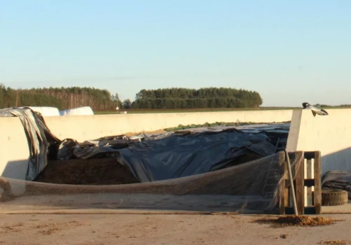 Silos na kiszonkę. Jak daleko od wód można go postawić?
