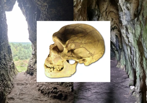 W polskiej jaskini odkryto coś niezwykłego. Ślady prowadzą do neandertalskiej matki i jej dzieci
