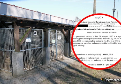 Olsztyn. Kontrowersje wokół oświadczenia majątkowego dyrektor schroniska dla zwierząt. Dom za 500 zł?