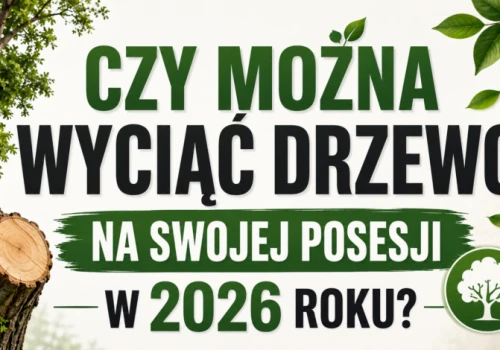 Czy można wyciąć drzewo na swojej posesji w 2026 roku? Sprawdź przepisy, zanim dostaniesz wysoką karę
