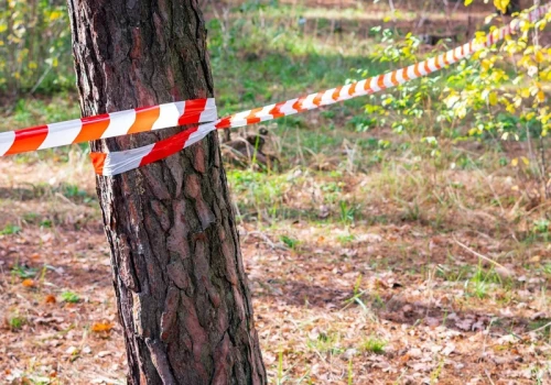 Brutalnie pobity 13-latek nie żyje. Policja zatrzymała czterech mężczyzn