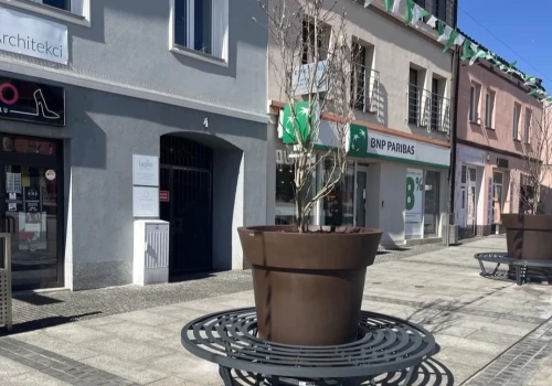 MZDiM poszukuje pracownika sezonowego do opieki nad miejską zielenią