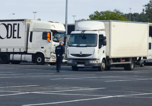 Zielona Góra. Akcja policji na parkingu Auchan. 20 kierowców ciężarówek dostało wezwania na komendę
