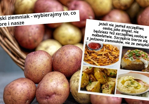 Ruszyła promocja zachęcająca Polaków do konsumpcji polskich ziemniaków