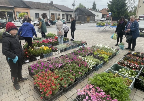 Rozmaitości na na kiermaszu roślinnym