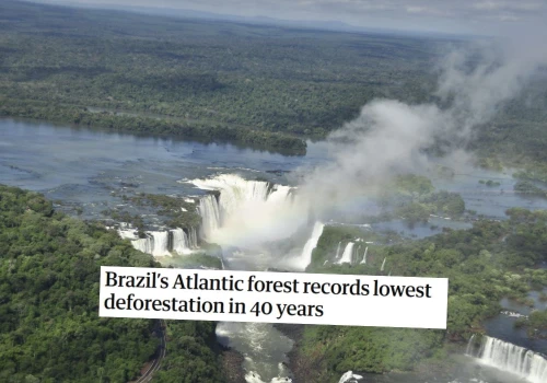 Brazylia: lasy deszczowe z najmniejszą wycinką od 40 lat
