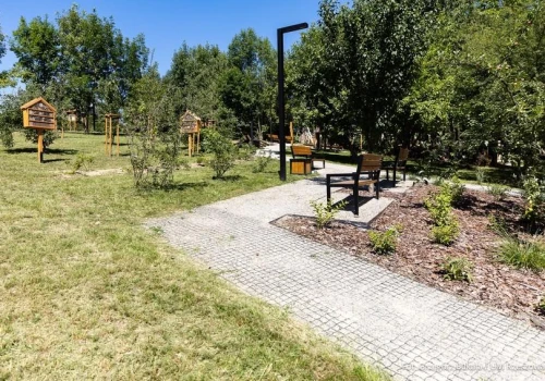 Tysiące roślin i nowoczesna architektura. Rzeszów ogłasza przetarg na nowy park