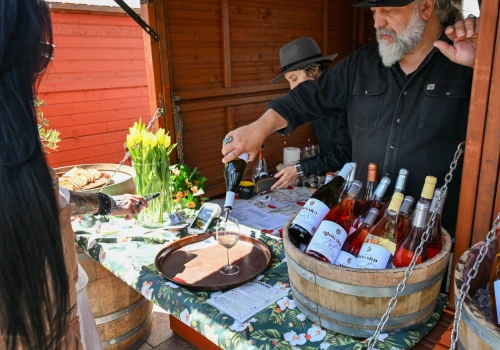 Enoturystyka nowym trendem Zachodniopomorskiego? Festiwal wina pokazał potencjał regionu