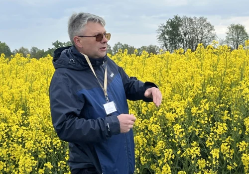 Rzepak z nawadnianiem i skrajnie różne terminy siewu na warsztatach polowych Agrolok