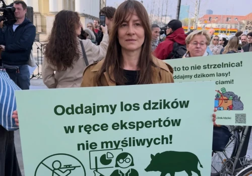 Co naprawdę dzieje się wokół Ostaszewskiej? Środa przerwała milczenie