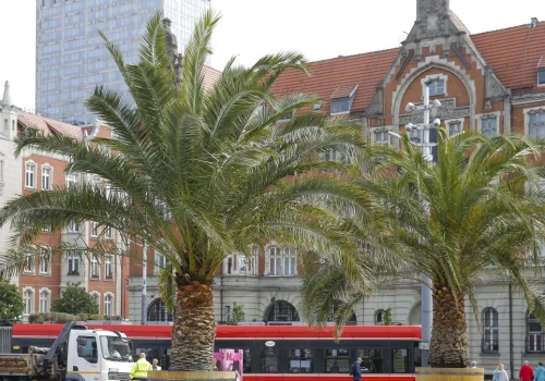 Ceny noclegów w polskim mieście wystrzeliły. Drożej niż w Gołębiewskim