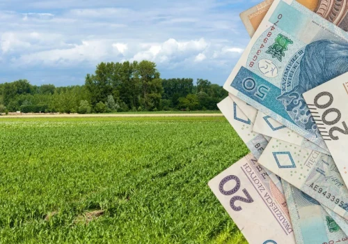 Rolnicy mają coraz mniej czasu. Za spóźnienie ARiMR obetnie dopłaty
