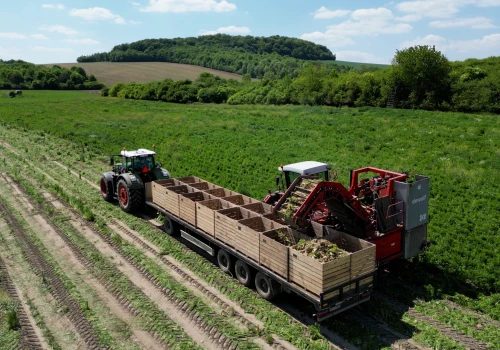 AI i biotechnologia dla rolnictwa. Konkurs dla start-upów pokazał kierunki rozwoju sektora agritech