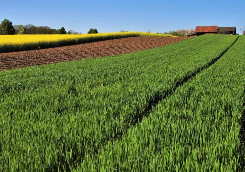 Historyczna farma na sprzedaż. Po 175 latach w rękach jednej rodziny