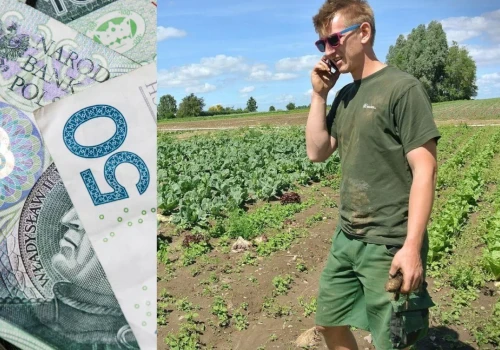 ARiMR daje nawet 300 tys. zł. Rusza nowy nabór dla rolników