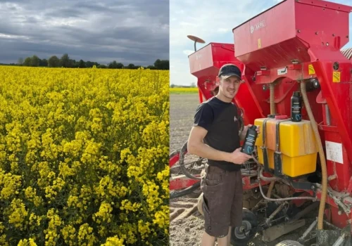 Rzepak miał ciężki start. Rolnik z Dolnego Śląska nie odpuścił azotu