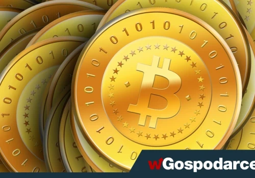 Od 2 do 10 mln Polaków ma kryptowaluty. Wyniki badania NBP