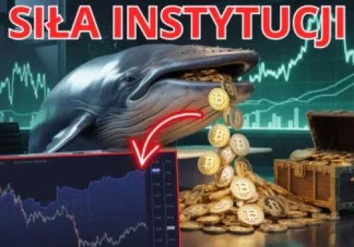 Panika na rynku Bitcoina w maju, a wieloryby czyszczą giełdy. Co wie elita BTC?