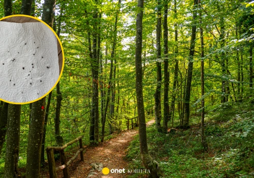 Pokazała zdjęcie po spacerze. 