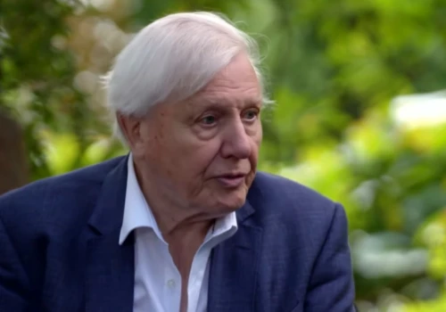 8 maja sir David Attenborough skończył 100 lat. Został legendą dokumentu przyrodniczego