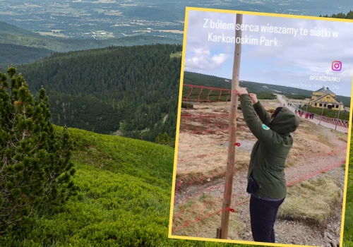 W Karkonoszach pojawiły się specjalne siatki. 