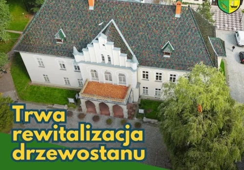 Cięcia w parku w Łodygowicach