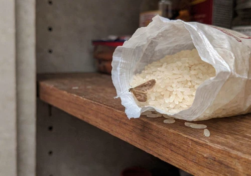 Wlej do małej miski i postaw między produktami. Mole spożywcze szybko znikną z kuchni