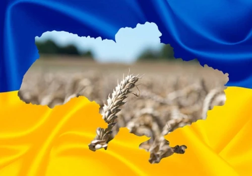 Damian Murawiec: Jeśli wygra poprawność polityczna co do Ukrainy, to jako polscy rolnicy możemy się pakować