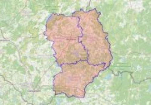 Łotewska armia alarmuje. Dron wleciał w przestrzeń powietrzną