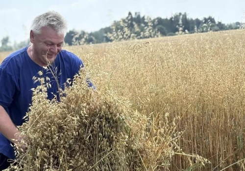 Nie da się wyżyć z 6 hektarów? To gospodarstwo znalazło własny sposób