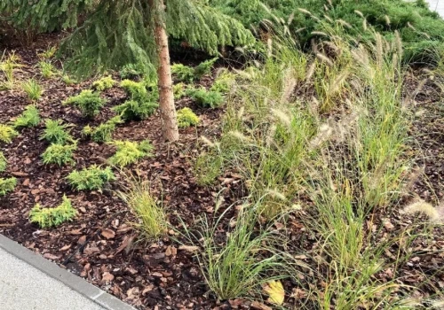Miasto ogłosiło przetargi na pierwszych 10 parków kieszonkowych