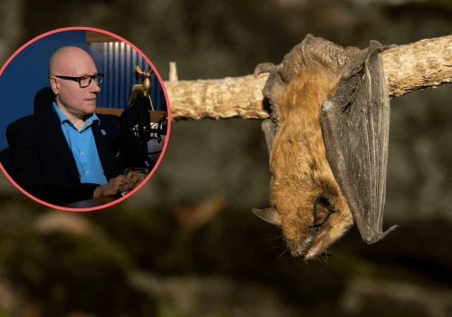 Boimy się egzotycznych wirusów, a zapominamy o jednym. Wirusolog bije na alarm