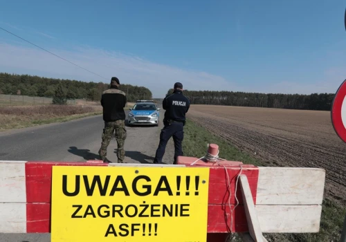 Alarm w Polsce. Wykryto gigantyczne ognisko zarazy we wsi w Zachodniopomorskiem