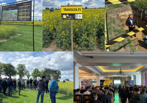 Akademia Rzepaku w Wielkopolsce. Czas na podsumowania sezonu i przygotowania do kolejnego