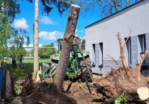 Finisz prac przy remizie w Silnie. Świerki zostały całkowicie usunięte