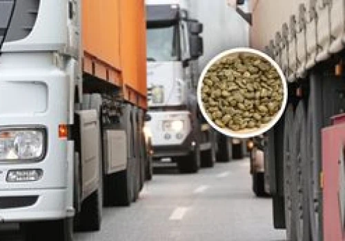 Transport z Brazylii zatrzymany. To miało trafić do sprzedaży w Polsce