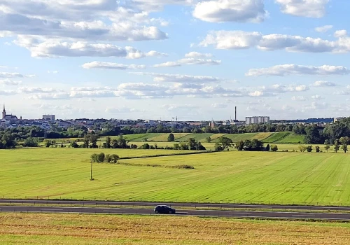 Tarnowska winnica otwarta na gości
