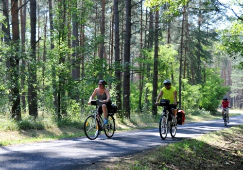 Aż 125 km wśród lasów. To będzie jedna z najpiękniejszych tras w Polsce