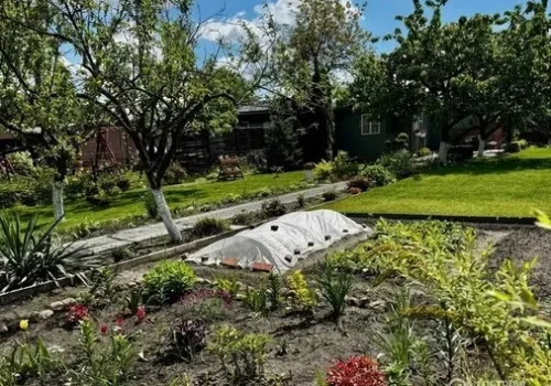 Ogrody działkowe dostaną pieniądze