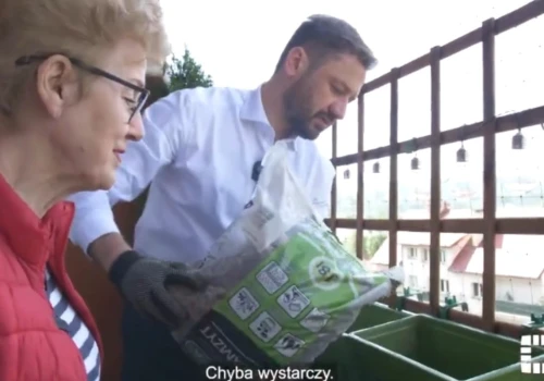 Miszalski ratuje się przed referendum. By ocieplić wizerunek poszedł... sadzić kwiaty emerytce
